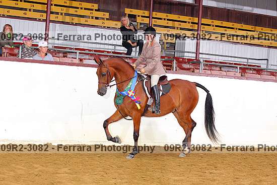 Proof 09r2-3082