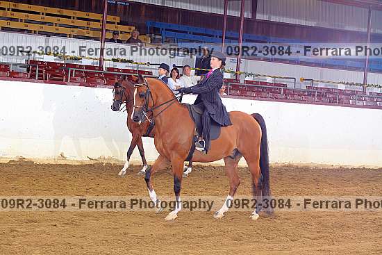 Proof 09r2-3084