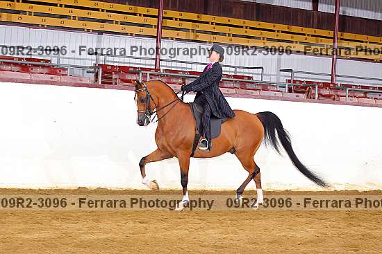 Proof 09r2-3096