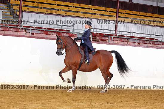 Proof 09r2-3097