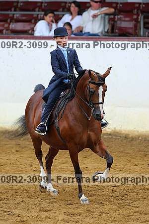 Proof 09r2-3099