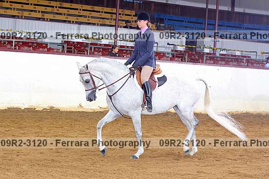Proof 09r2-3120
