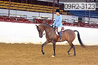 09r2-3123 proof