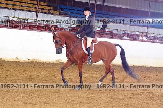 Proof 09r2-3131
