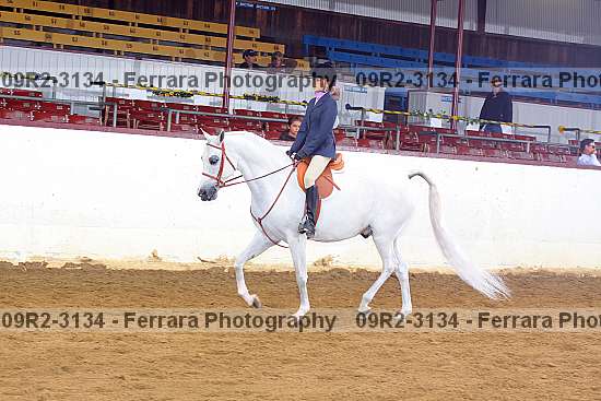 Proof 09r2-3134
