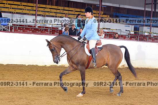 Proof 09r2-3141
