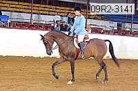 09r2-3141 proof