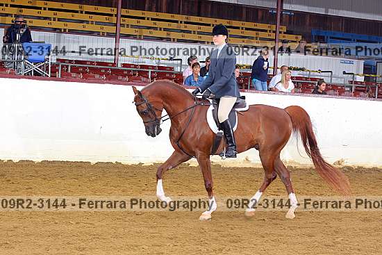 Proof 09r2-3144