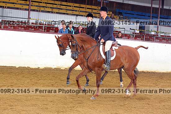 Proof 09r2-3145