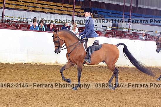 Proof 09r2-3146