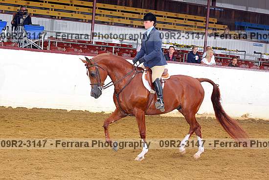 Proof 09r2-3147