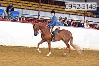09r2-3148 proof