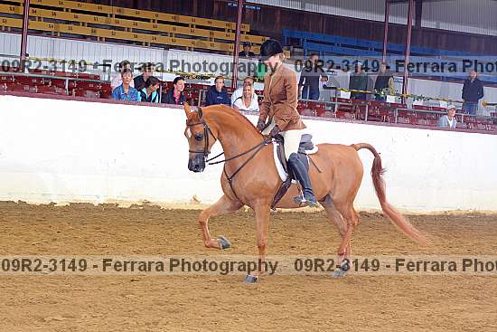 Proof 09r2-3149