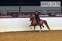 09r2-3176 proof