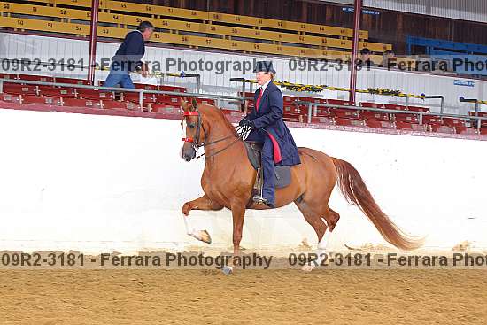 Proof 09r2-3181