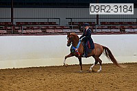 09r2-3184 proof