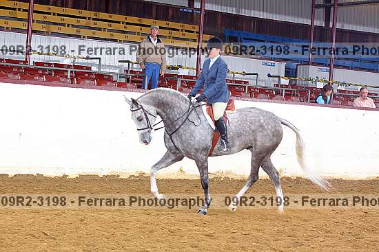 Proof 09r2-3198
