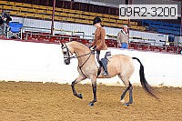 09r2-3200 proof