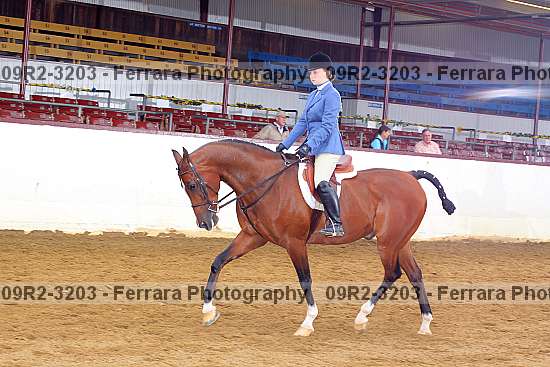 Proof 09r2-3203