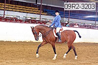 09r2-3203 proof