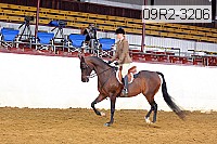 09r2-3206 proof