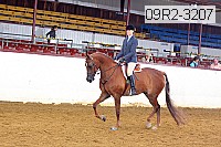 09r2-3207 proof