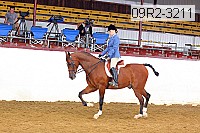 09r2-3211 proof