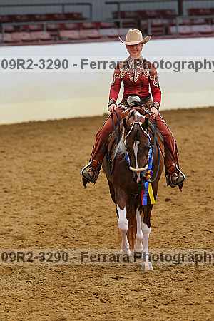 Proof 09r2-3290