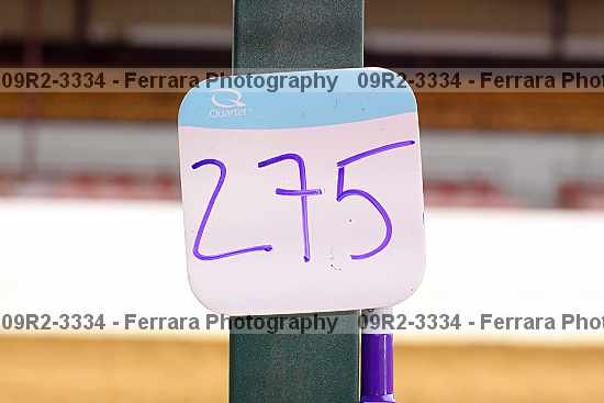 Proof 09r2-3334