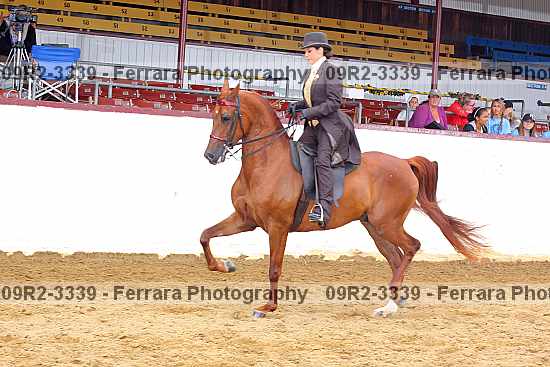 Proof 09r2-3339
