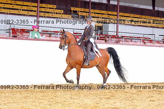 Proof 09r2-3365