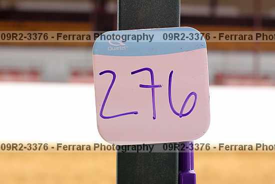 Proof 09r2-3376