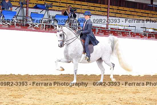 Proof 09r2-3393