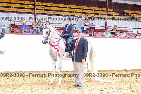 Proof 09r2-3398