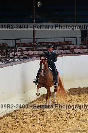 Proof 09r2-3403