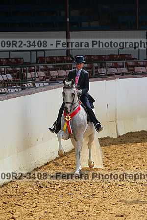 Proof 09r2-3408