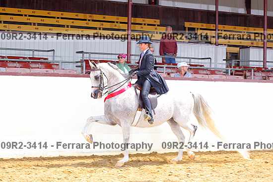 Proof 09r2-3414