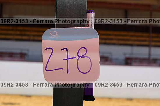 Proof 09r2-3453