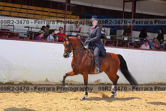Proof 09r2-3470