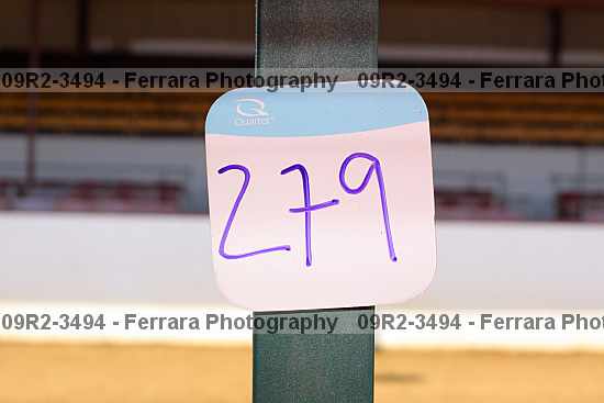 Proof 09r2-3494