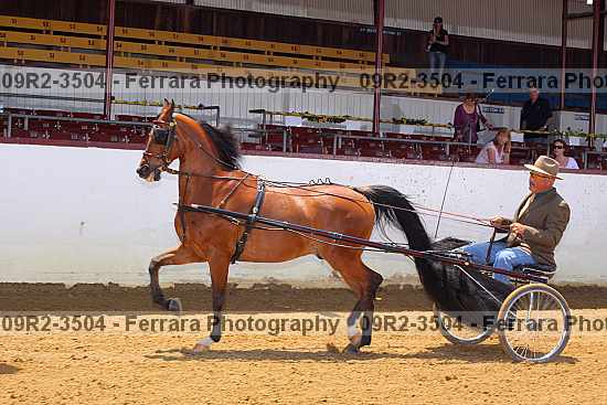 Proof 09r2-3504