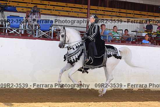 Proof 09r2-3539
