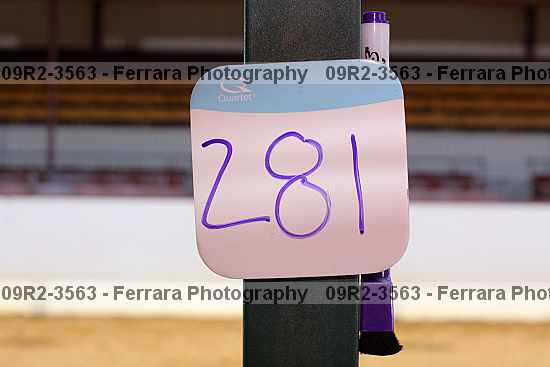Proof 09r2-3563
