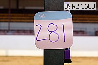 09r2-3563 proof