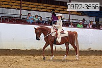 09r2-3566 proof
