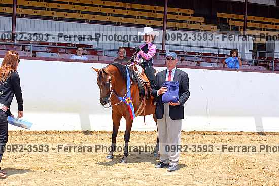 Proof 09r2-3593