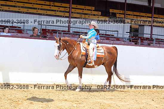 Proof 09r2-3608