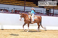 09r2-3608 proof