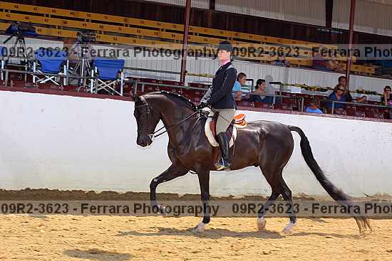 Proof 09r2-3623