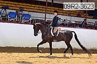 09r2-3623 proof